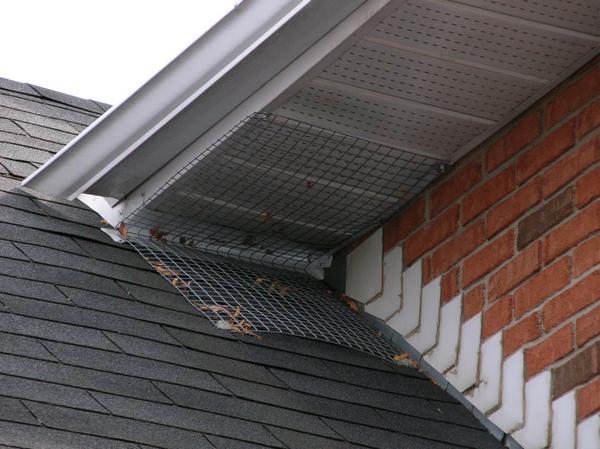 Securing the soffit area against potential rodent entry point