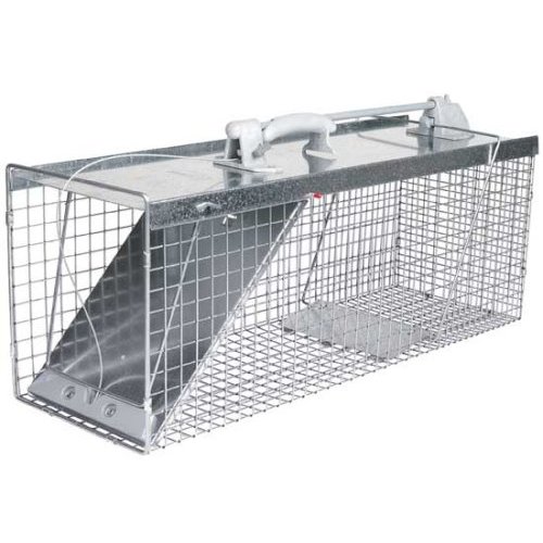 Example of raccoon trap