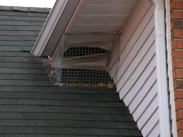 Raccoon entry point into the attic through the soffit