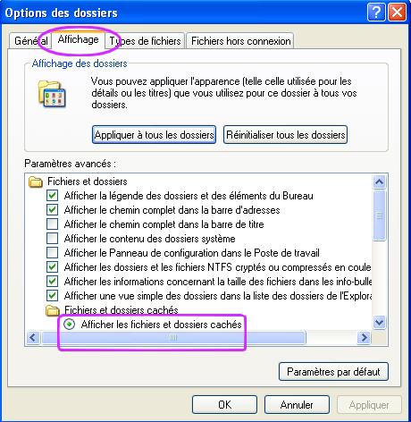 Afficher les dossier caches dans Windows